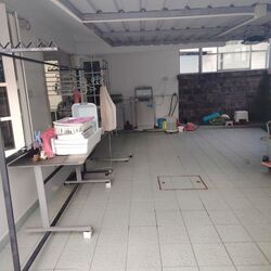Lorong G Telok Kurau (D15), Semi-Detached #514495111
